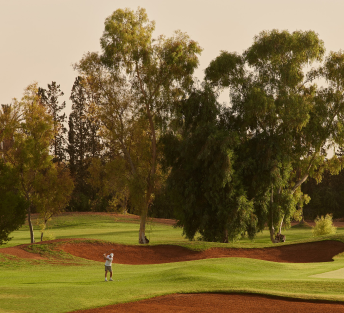 Test Post 7 Featured Image