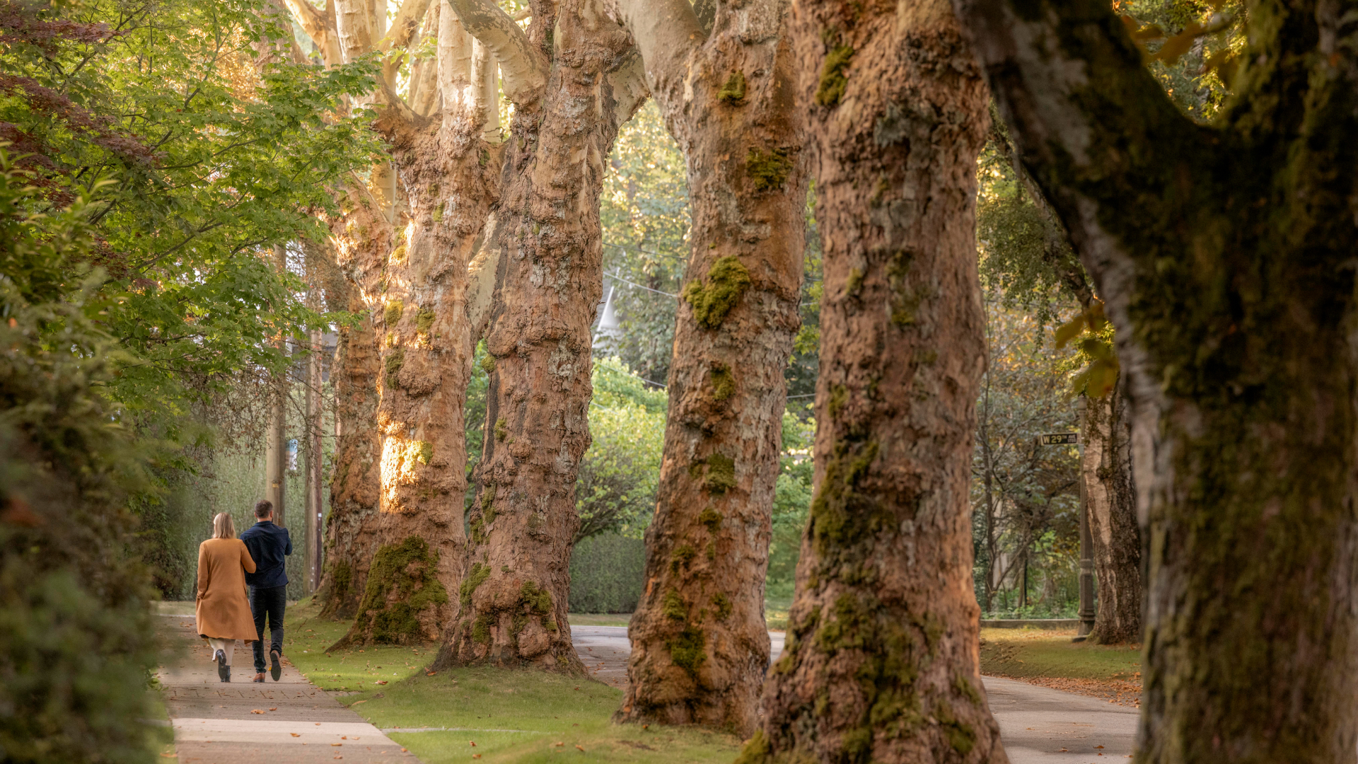 Couple Strolling through Shaughnessey Neighbourhood